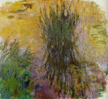 Claude Oscar Monet : Water Lilies